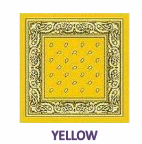 Yellow paisley bandana.